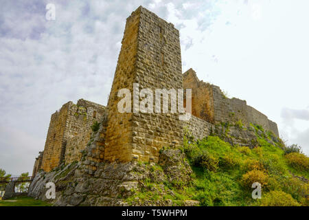 Blick auf die Burg Ajloun in Nord-westlichen Jordan. Wichtig fort für Arabische und Kreuzfahrer. Stockfoto