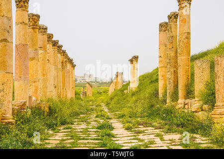 Südliche Decumanus, Jerash archäologische Stätte, Jordanien. Stockfoto