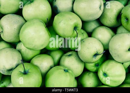 Bio Granny Smith grüne Äpfel aus dem Garten Stockfoto