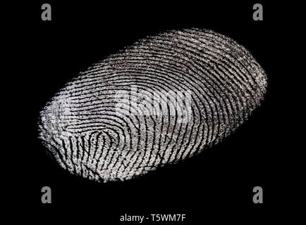 Makro Nahaufnahme von einem einzigen fettige Fingerabdrücke auf einem schwarzen Hintergrund. Fingerprint Ausschnitt. Stockfoto