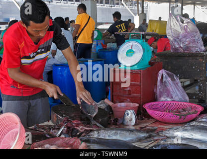 Fischmarkt in Kota Kinabalu, Sabah (Borneo), Malaysia Stockfoto