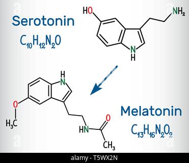 Serotonin und Melatonin Molekül, Hormon des Glücks und schlaf Hormon. Strukturelle chemische Formel. Vector Illustration Stock Vektor