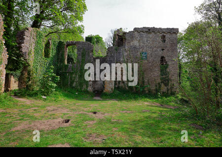 Candleston Burgruinen in inmitten der Sanddünen von Merthyr Mawr in der Nähe von Bridgend, einer von zwei Burgruinen in den Bereich, der den Fluss Ogmore Bereich schützen. Stockfoto