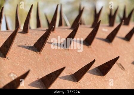 Spikes Textur, Spike Metall rostig gealterte Oberfläche. Stockfoto