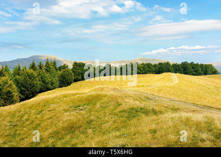 Karpaten subalpine Wiesen im August. schöne Berglandschaft. Straße Wicklung in der Ferne. urzeitliche Buche Wald am Rande eines Hügels. s Stockfoto