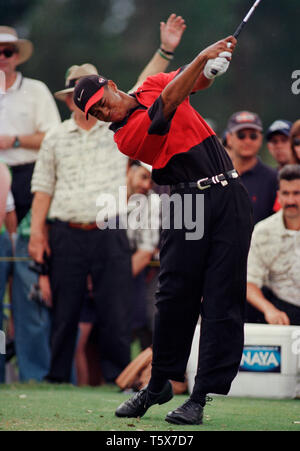 Tiger Woods in Aktion am Doral Ryder gold Meisterschaft am Doral Country Club in Miaqmi, Florida im Jahre 1998. Stockfoto