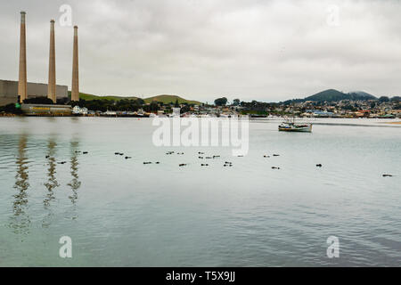 Bucht von Wasser, Boote, und Silhouetten von schlafenden Seeotter Stockfoto