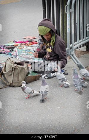 Am Union Square Park, ein Künstler braucht Zeit aus seinen Zeichnungen füttern Tauben an die Hand. Stockfoto