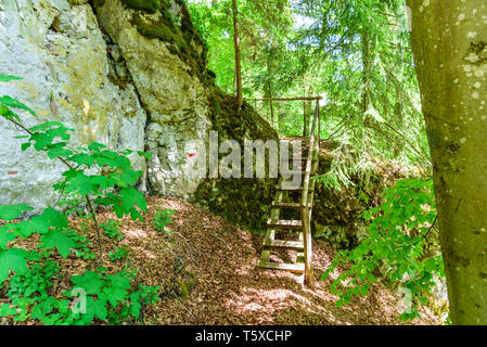 Landschaft und Natur Impressionen aus abenteuerlicher Wanderweg in Bayern Stockfoto