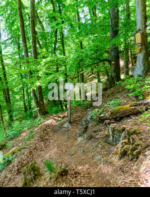 Landschaft und Natur Impressionen aus abenteuerlicher Wanderweg in Bayern Stockfoto