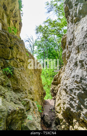 Landschaft und Natur Impressionen aus abenteuerlicher Wanderweg in Bayern Stockfoto