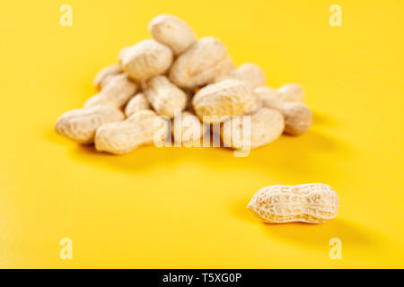Erdnüsse mit einem geöffnet und schließen nach oben Stockfoto