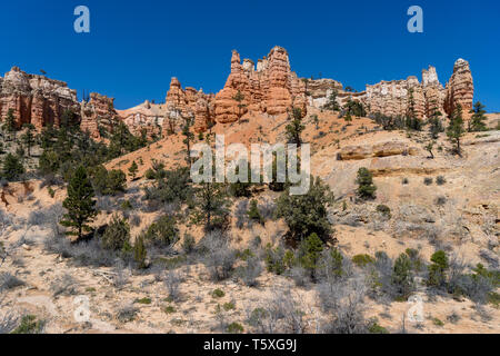 Die moosigen Höhle Trail im nördlichen Ende des Bryce Canyon National Park Stockfoto