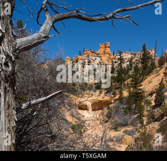 Der Wasserfall auf dem moosigen Höhle Trail im Bryce Canyon, Ut. Stockfoto
