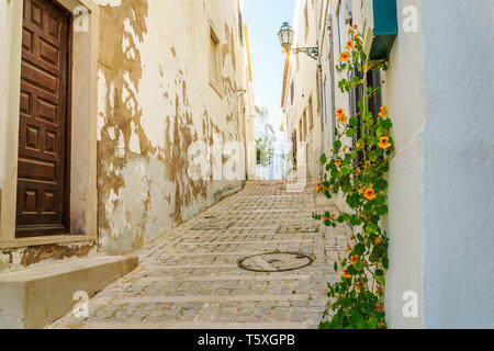 Gelb blühenden Blumen, die sich in einer Gasse mit alten Haus Wände, eine braune Holztür und eine hängende Laterne - Querformat Stockfoto