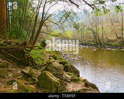 Stehend auf den Ufern des Flusses Mawddach an einem diesigen Tag in Wales Als die Sonne beginnt, durch zu brechen. Stockfoto