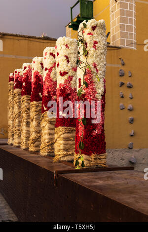 Florale Skulptur für Ostern, die die katholischen Traditionen der Stationen des Kreuzes am Karfreitag durchgeführt, jährliche Anzeige in Th Stockfoto