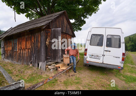 Imkerei in den Karpaten. Imker, die mit Tool Box Halle für die Inspektion von Nesselsucht. Juli 18, 2018. Firma Lugi Dorf, Ukraine Stockfoto