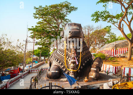 Shri Nandi Monument ist ein hinduistischer Heiliger Stier Statue auf den Chamundi Hills in der Nähe von Mysore in Indien Stockfoto
