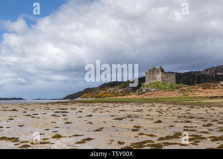 Schloss Tioram (Caisteal Tioram) ist eine Burgruine, die sich auf die Gezeiten Insel Eilean Tioram im Loch Moidart, Lochaber, Highland, Schottland, UK sitzt Stockfoto