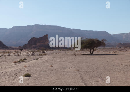 Felsen und Sand in Tima-Nationalpark in Israel Stockfoto