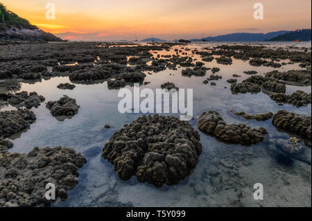 Coral Reef auf Küstenlinie in Tide Phänomen bei Sonnenuntergang Stockfoto