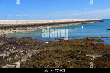 Fischerboote in der Nähe der "Anchoured Verclut 'Break Wasser in St. Catherine's Bay auf der Insel Jersey, Channel Isles, UK. Stockfoto