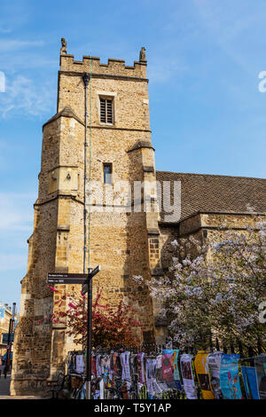 St Botolphs Kirche, Trumpington Street, Cambridge, Cambridgeshire Stockfoto