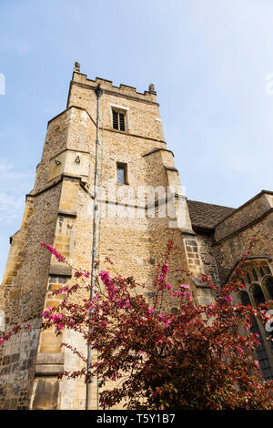 St Botolphs Kirche, Trumpington Street, Cambridge, Cambridgeshire Stockfoto