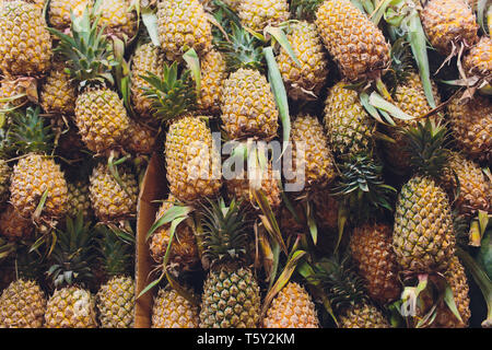 Viele reife Ananas liegen auf jedem anderen im Freien. Nahaufnahme. Horizontale. Stockfoto