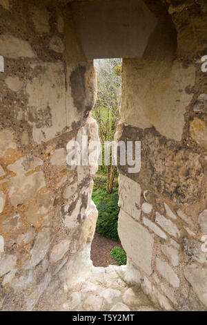 Pfeil Schlitz/Pfeil Loop/Pfeil Bohrung/in der defensive Shell Mauern von Farnham schloss Halten, Castle Hill, Farnham. Surrey, England. Großbritannien (108) Stockfoto