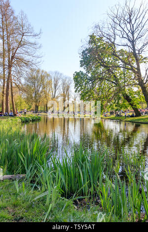 Aussicht auf den Vondelpark in Amsterdam. Stockfoto