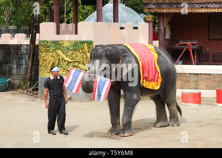 PHUKET, Thailand - Dezember 11, 2010: Elefanten Show auf der Insel Phuket Zoo in Thailand Stockfoto