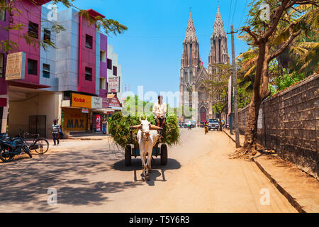 MYSORE, INDIEN - 25. MÄRZ 2012: unbekannter Mann reiten Stier Warenkorb in Indien Stockfoto