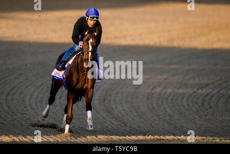 Louisville, Kentucky, USA. 27 Apr, 2035. LOUISVILLE, Kentucky - 27. April: Lady Apple, ausgebildet von Steve Asmussen, Übungen zur Vorbereitung auf die Kentucky Eichen in der Churchill Downs in Louisville, Kentucky am 27. April 2019. John voorhees/Eclipse Sportswire/CSM/Alamy leben Nachrichten Stockfoto