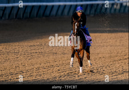 Louisville, Kentucky, USA. 27 Apr, 2035. LOUISVILLE, Kentucky - 27. April: Lady Apple, ausgebildet von Steve Asmussen, Übungen zur Vorbereitung auf die Kentucky Eichen in der Churchill Downs in Louisville, Kentucky am 27. April 2019. John voorhees/Eclipse Sportswire/CSM/Alamy leben Nachrichten Stockfoto