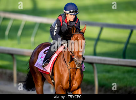 Louisville, Kentucky, USA. 27 Apr, 2035. LOUISVILLE, Kentucky - 27. April: Champagne Jedermann, ausgebildet von Ian Wilkes, Übungen zur Vorbereitung auf die Kentucky Eichen in der Churchill Downs in Louisville, Kentucky am 27. April 2019. John voorhees/Eclipse Sportswire/CSM/Alamy leben Nachrichten Stockfoto