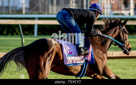 Louisville, Kentucky, USA. 27 Apr, 2019. LOUISVILLE, Kentucky - 27. April: Lady Apple, ausgebildet von Steve Asmussen, Übungen zur Vorbereitung auf die Kentucky Eichen in der Churchill Downs in Louisville, Kentucky am 27. April 2019. Scott Serio/Eclipse Sportswire/CSM/Alamy leben Nachrichten Stockfoto