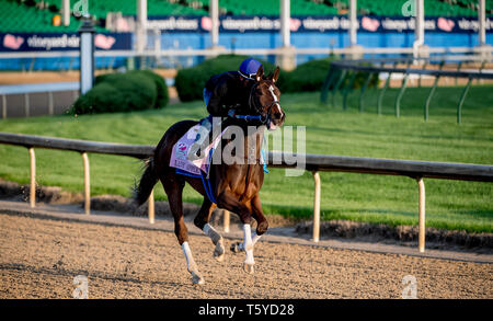 Louisville, Kentucky, USA. 27 Apr, 2019. LOUISVILLE, Kentucky - 27. April: Lady Apple, ausgebildet von Steve Asmussen, Übungen zur Vorbereitung auf die Kentucky Eichen in der Churchill Downs in Louisville, Kentucky am 27. April 2019. Scott Serio/Eclipse Sportswire/CSM/Alamy leben Nachrichten Stockfoto