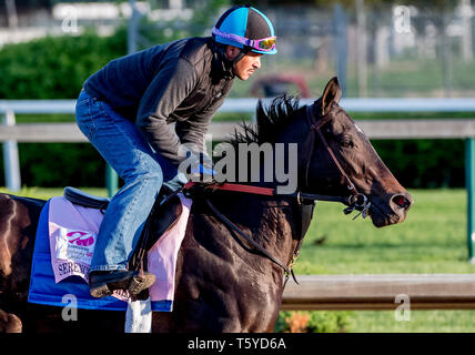 Louisville, Kentucky, USA. 27 Apr, 2019. LOUISVILLE, Kentucky - 27. April: Serengeti Kaiserin, ausgebildet von Tom Amoss, Übungen zur Vorbereitung auf die Kentucky Eichen in der Churchill Downs in Louisville, Kentucky am 27. April 2019. Scott Serio/Eclipse Sportswire/CSM/Alamy leben Nachrichten Stockfoto