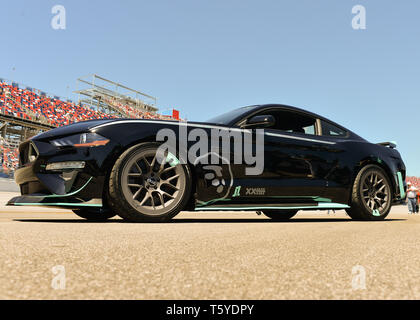 Talladega, AL, USA. 27 Apr, 2019. Das Geld Lion Mustang RTR auf Anzeige an das Geld Lion 300 in Talladega Super Speedway in Talladega, AL. Kevin Langley/Sport Süd Media/CSM/Alamy leben Nachrichten Stockfoto