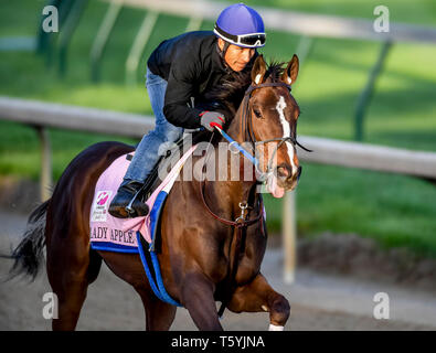 Louisville, Kentucky, USA. 27 Apr, 2019. Lady Apple, ausgebildet von Steve Asmussen, Übungen zur Vorbereitung auf die Kentucky Eichen in der Churchill Downs in Louisville, Kentucky am 27. April 2019. Credit: Csm/Alamy leben Nachrichten Stockfoto