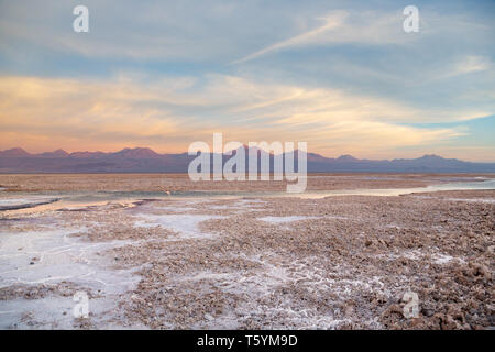 Sonnenuntergang am Chaxa See Salzsee, Teil von Los Flamencos National Reserve, San Pedro de Atacama, Chile Stockfoto