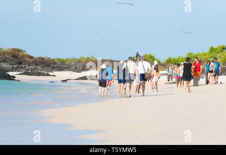 GALAPAGOS INSELN ECUADOR - 18 Juli 2012; zwei Gruppen Touristen zu Fuß am Strand mit Blue footed Booby flying Overhead im blauen Himmel. Stockfoto