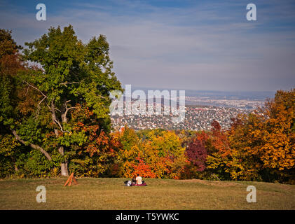 Das Normafa Park in Budapest, beliebt bei Einheimischen Stockfoto