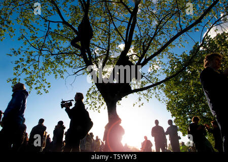 Demonstranten in einem Baum an der Abschlussfeier der Auslöschung Rebellion Demonstration am 25. April 2019 in der Speaker's Corner, Marble Arch, London Stockfoto