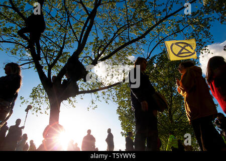 Demonstranten in einem Baum an der Abschlussfeier der Auslöschung Rebellion Demonstration am 25. April 2019 in der Speaker's Corner, Marble Arch, London Stockfoto