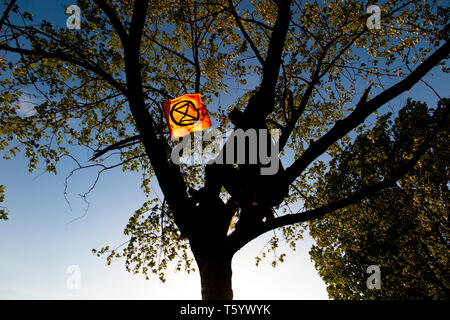 Demonstranten in einem Baum an der Abschlussfeier der Auslöschung Rebellion Demonstration am 25. April 2019 in der Speaker's Corner, Marble Arch, London Stockfoto