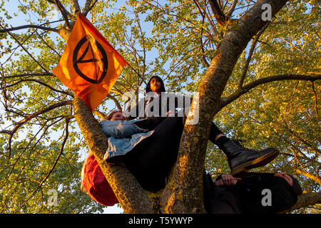 Demonstranten in einem Baum an der Abschlussfeier der Auslöschung Rebellion Demonstration am 25. April 2019 in der Speaker's Corner, Marble Arch, London Stockfoto