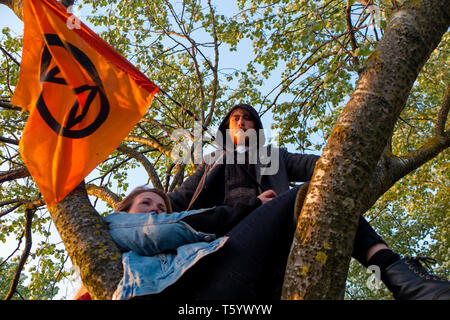 Demonstranten in einem Baum an der Abschlussfeier der Auslöschung Rebellion Demonstration am 25. April 2019 in der Speaker's Corner, Marble Arch, London Stockfoto